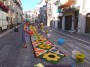 infiorata (18)